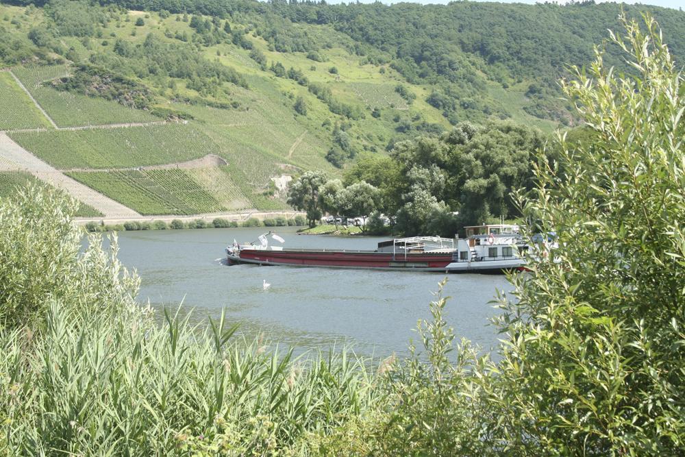 Hotel Vier Loewen Traben-Trarbach Kültér fotó
